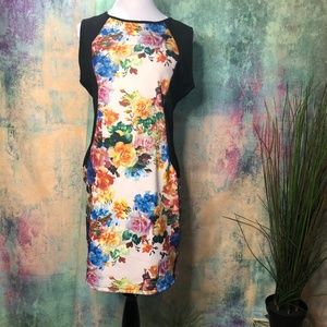 📌Liberty Love Slim looking hourglass shape floral Dress